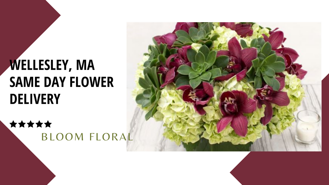 Best Same Day Flower Delivery to Wellesley, MA