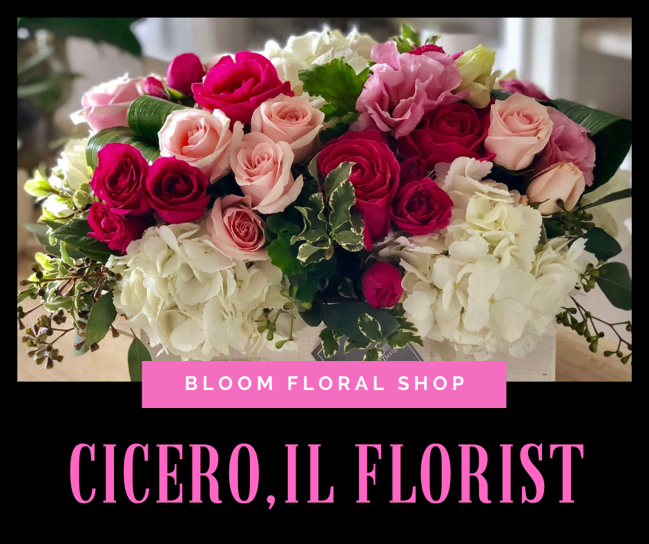 Cicero, IL Florist 60632, 60804 |  Same Day Flowers Shop Florist in Cicero, IL