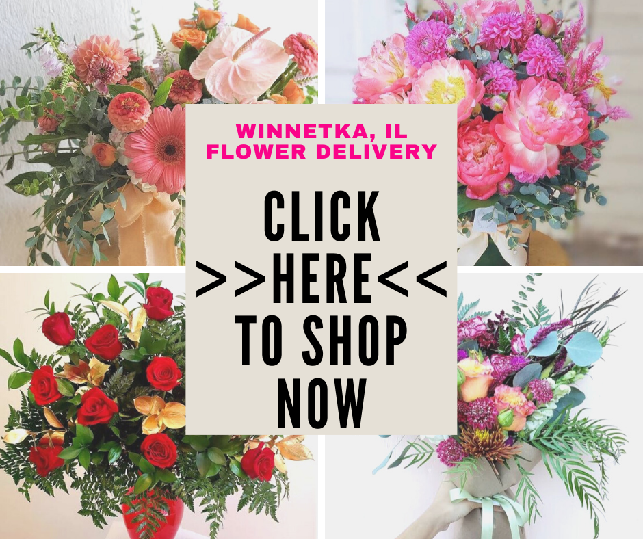 Winnetka, IL Florist | Same Day Flower Delivery 60043, 60093