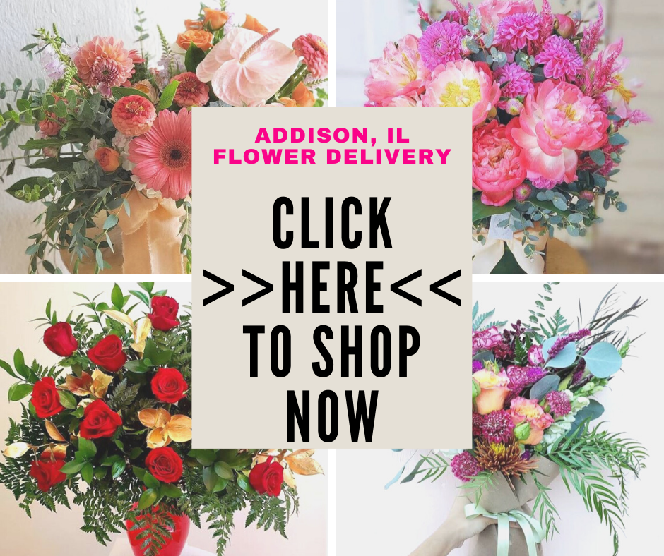 Addison, IL Florist | Same Day Flower Delivery IL 60101, 60191