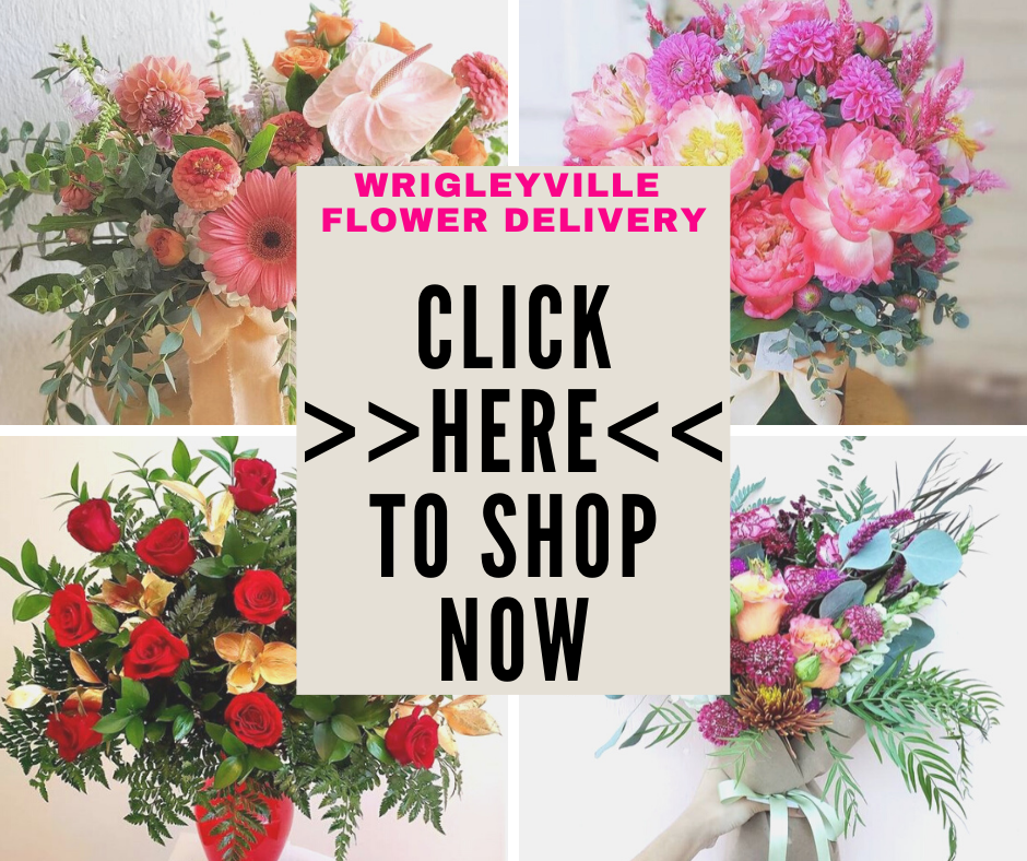 Wrigleyville Chicago, IL Florist | Same Day Florist 60618
