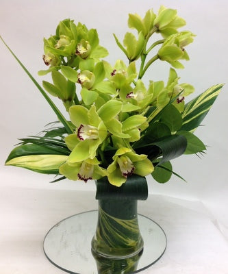 orchid flower delivery chicago same day flowers