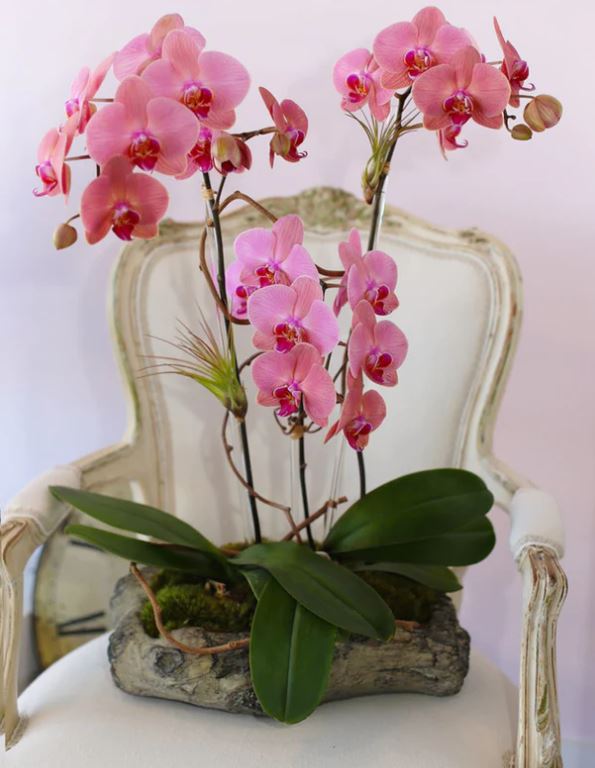 Rustic Pinks - www.bloomfloralshop.com