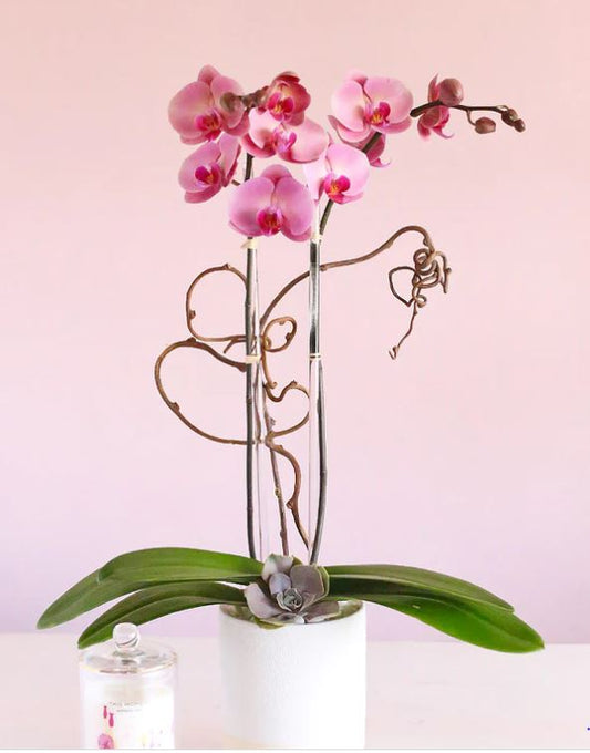Mauve elegance - www.bloomfloralshop.com