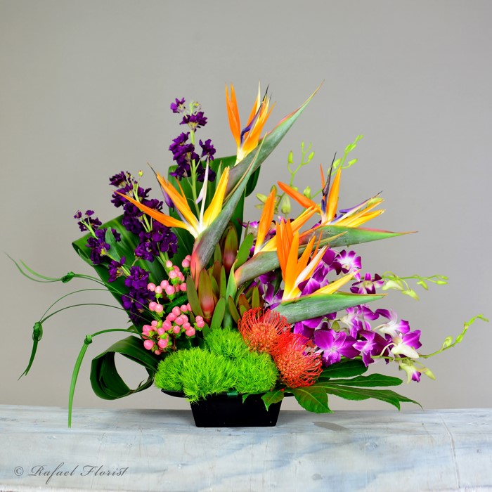 Starburst Tropical Flower Delivery Bloom Floral Bloom Floral Shop