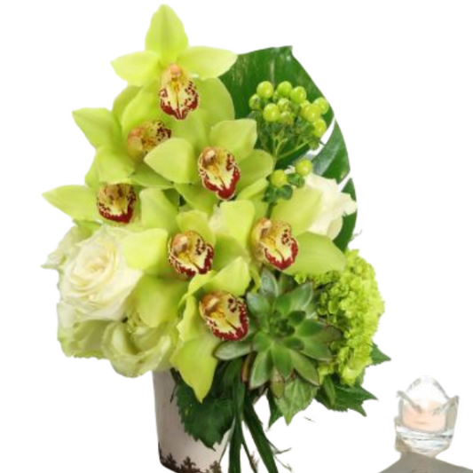 Succulents & Orchids - www.bloomfloralshop.com
